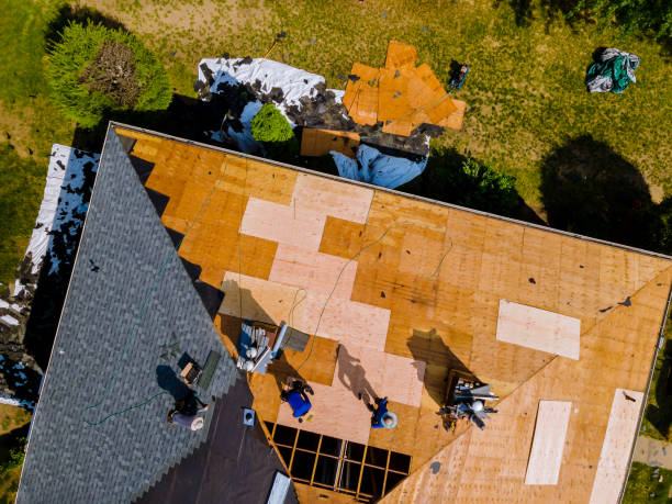 Best Roof Gutter Cleaning  in Pleasantville, NJ